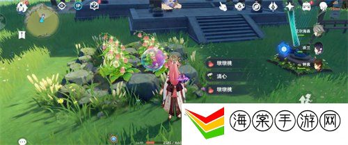 原神柔灯铃在哪里采集最多 柔灯铃快速采集路线介绍