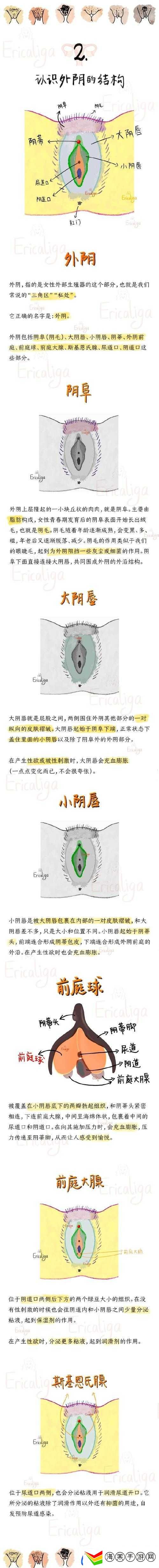 呦小性