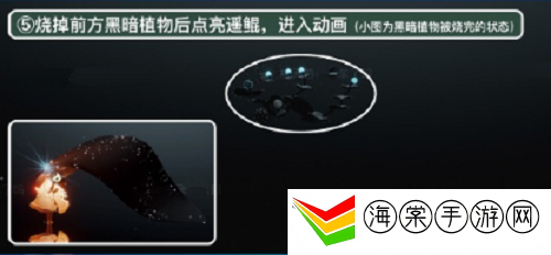 光遇禁阁赏花任务完成方法-以获取更多的奖励和信息
