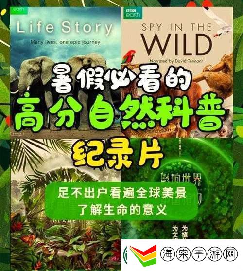 洗1204看片是什么意思