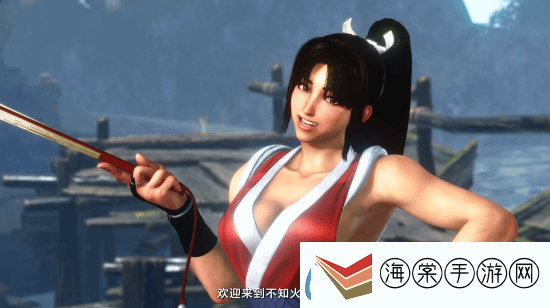 各版本女忍者