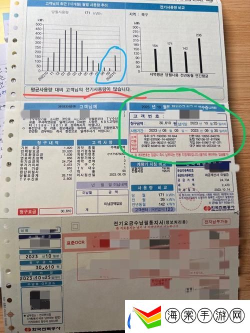 好看的韩国三色电费
