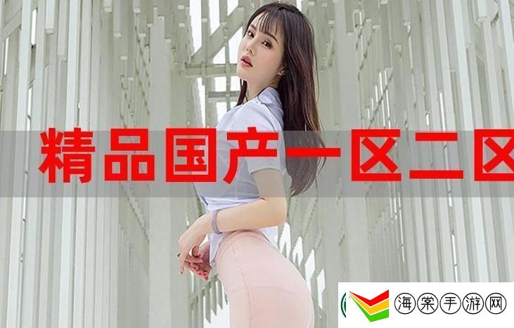 探索国精产品一二三区的魅力与未来