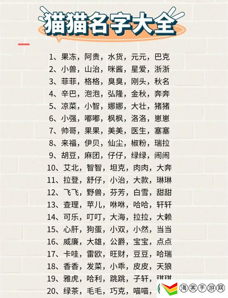 猫咪网名3336pt3