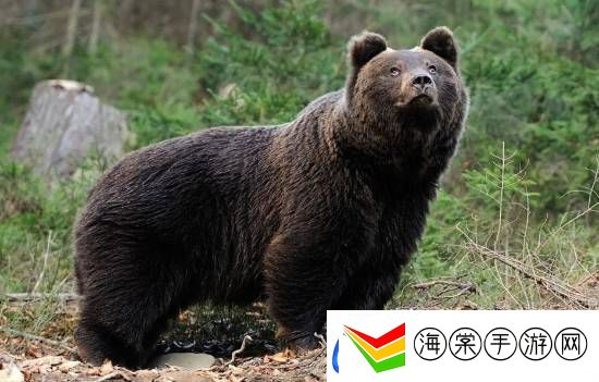 每日私密马赛