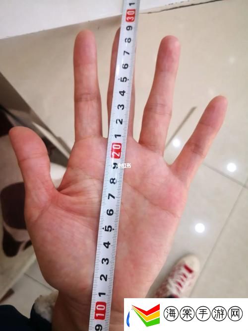 探讨“22cm能到肚子吗”这一问题的真实意义