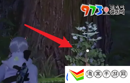 黎明觉醒草木纤维怎么获得