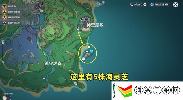 原神海灵芝分布图汇总