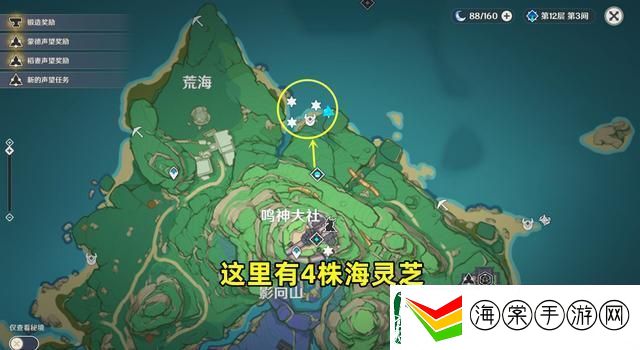 原神海灵芝分布图汇总