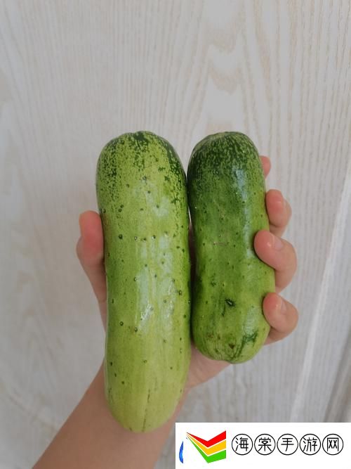 18水蜜桃与大黄瓜