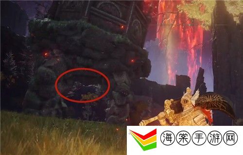 艾尔登法环追忆复制不了-攻略助你技能精进