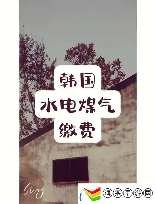 探秘“好看的韩国三色电费”的魅力所在