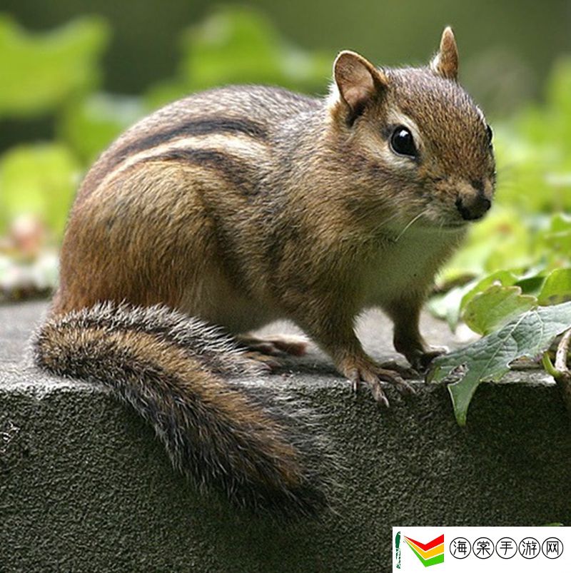 HooXi晒卡托维兹个人海报