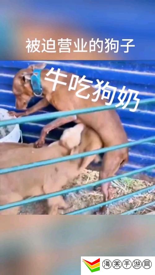 《公天天吃我奶躁我》