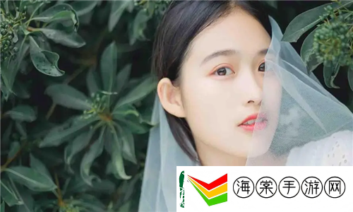 艺华直播TV最新版本更新内容