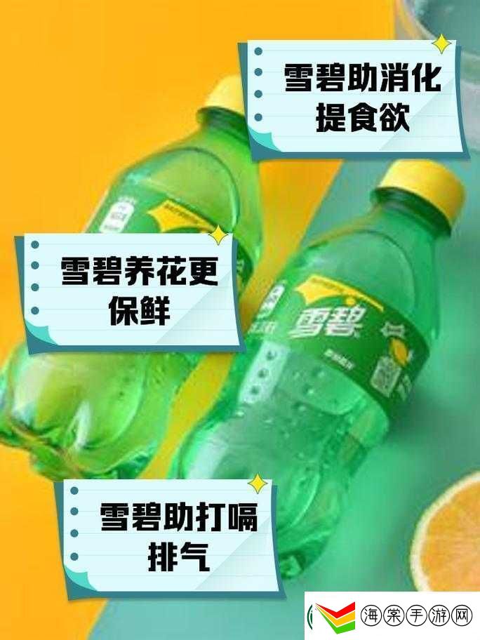 雪碧免费安装下载指南