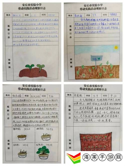 耕种姐姐如何让土地更加肥沃