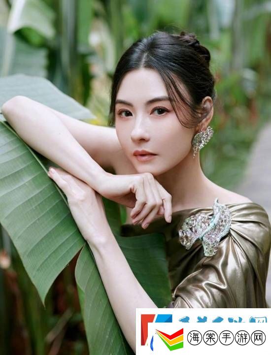 张柏芝最新**