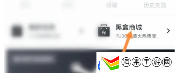 小黑盒购买记录怎么查看