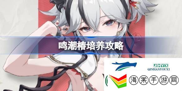 鸣潮椿声骸武器阵容推荐