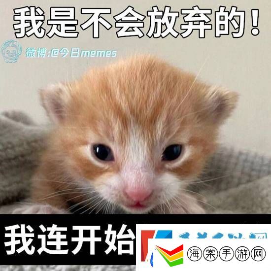 相亲该听爸爸的还是妈**