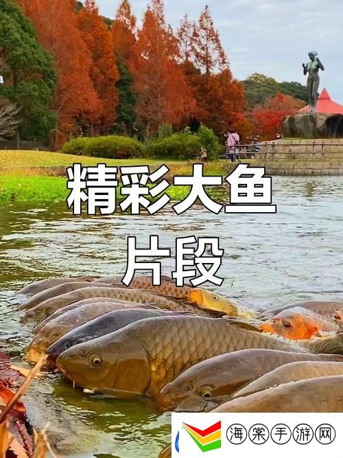 大鱼免费完整版视频最新动态