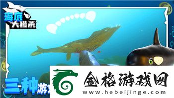 丛林地狱寻找帐篷怎么过的