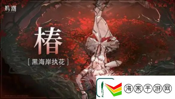 鸣潮洛可可怎么配队鸣潮洛可可最强配队阵容推荐