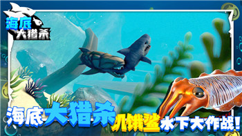 天涯明月刀手游哪个职业厉害