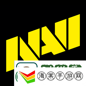 IEM卡托维兹