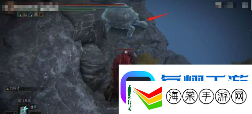 艾尔登法环魔法菈妮的暗月获得位置