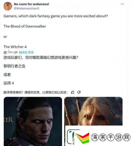 奥日总监