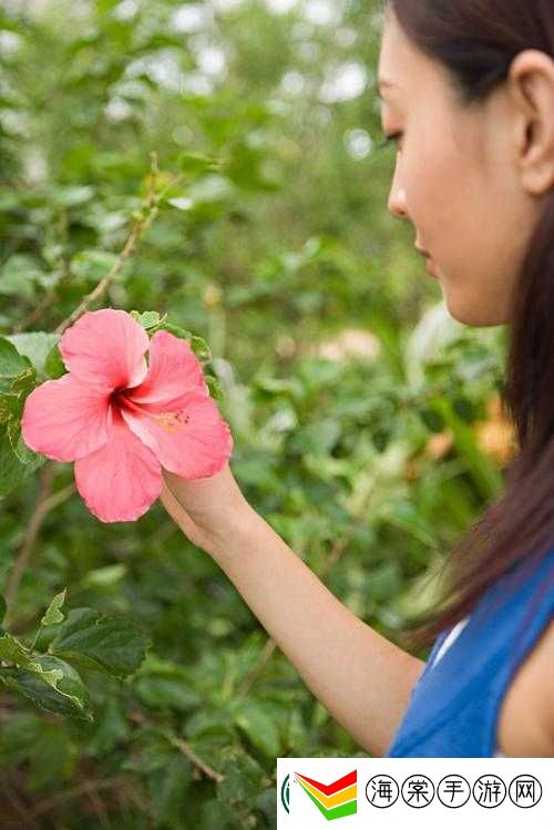 摘花视频HD一XXⅩ