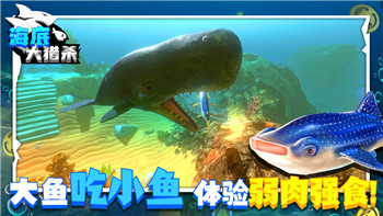 第五人格好玩吗