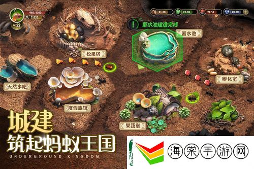小小蚁国建筑升级资源表