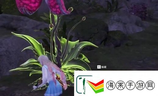 永劫无间龙隐洞天食人芋在哪里
