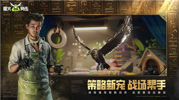 无极仙途渠道服有几个区