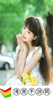 鉴黄师abb安装正版免费：全程免费