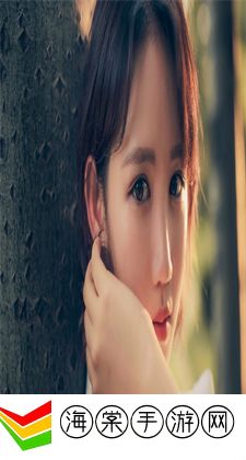 成品网站1688入口的代码体现：探究1688入口代码的运用与呈现