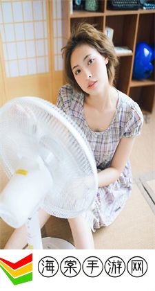 VA精华区二区区别：探究两区不同特质