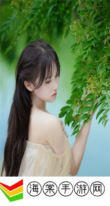人口工彩画大全：人口工彩画的艺术特色
