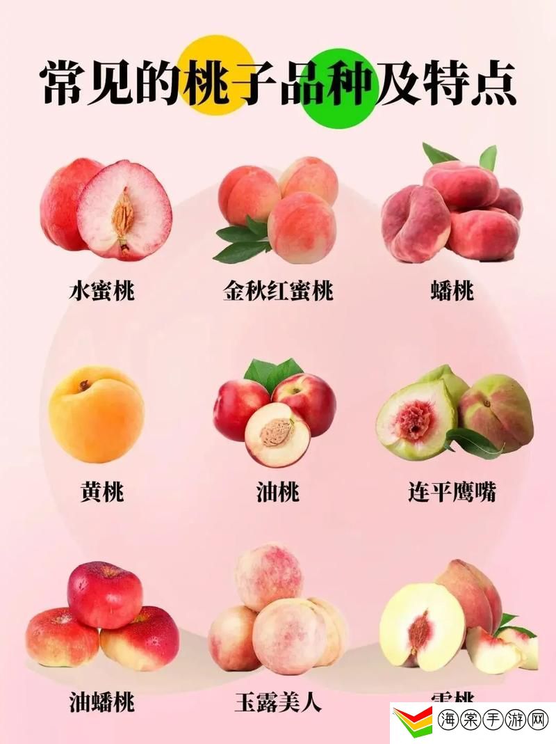 美丽的水蜜桃2最经典的一句