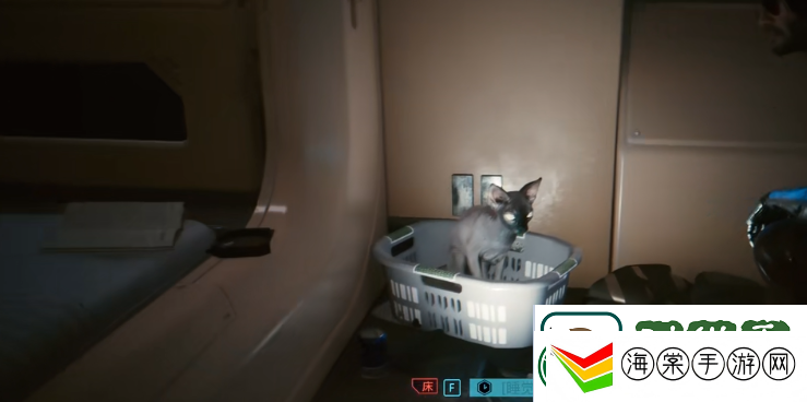 赛博朋克2077怎么养猫