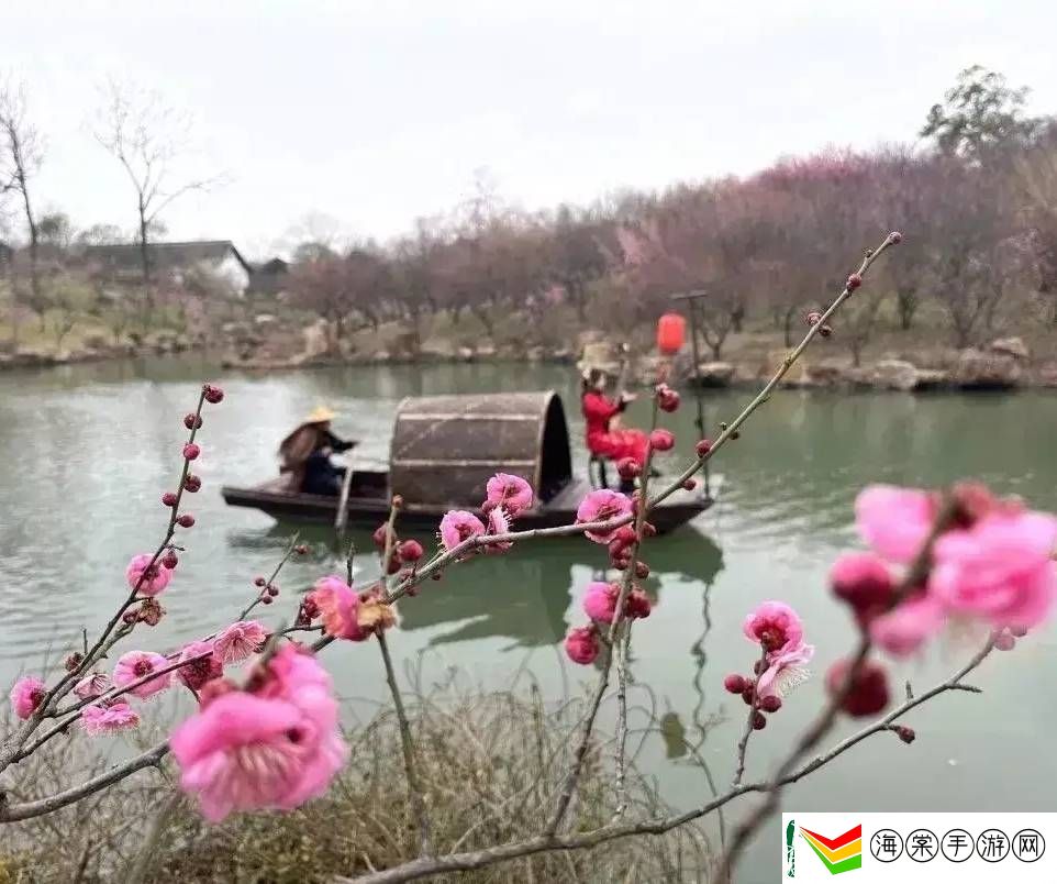 中国民企创新力爆棚